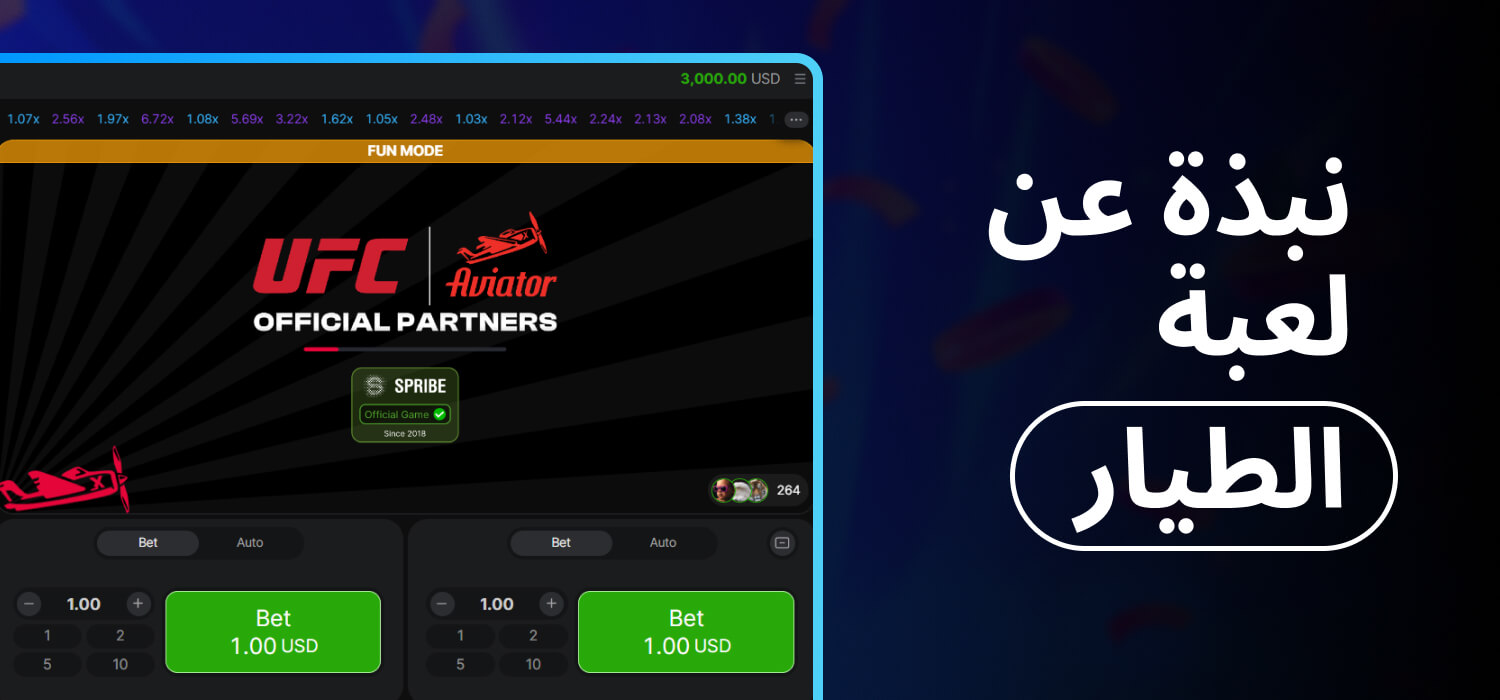 نبذة عن لعبة الطيار