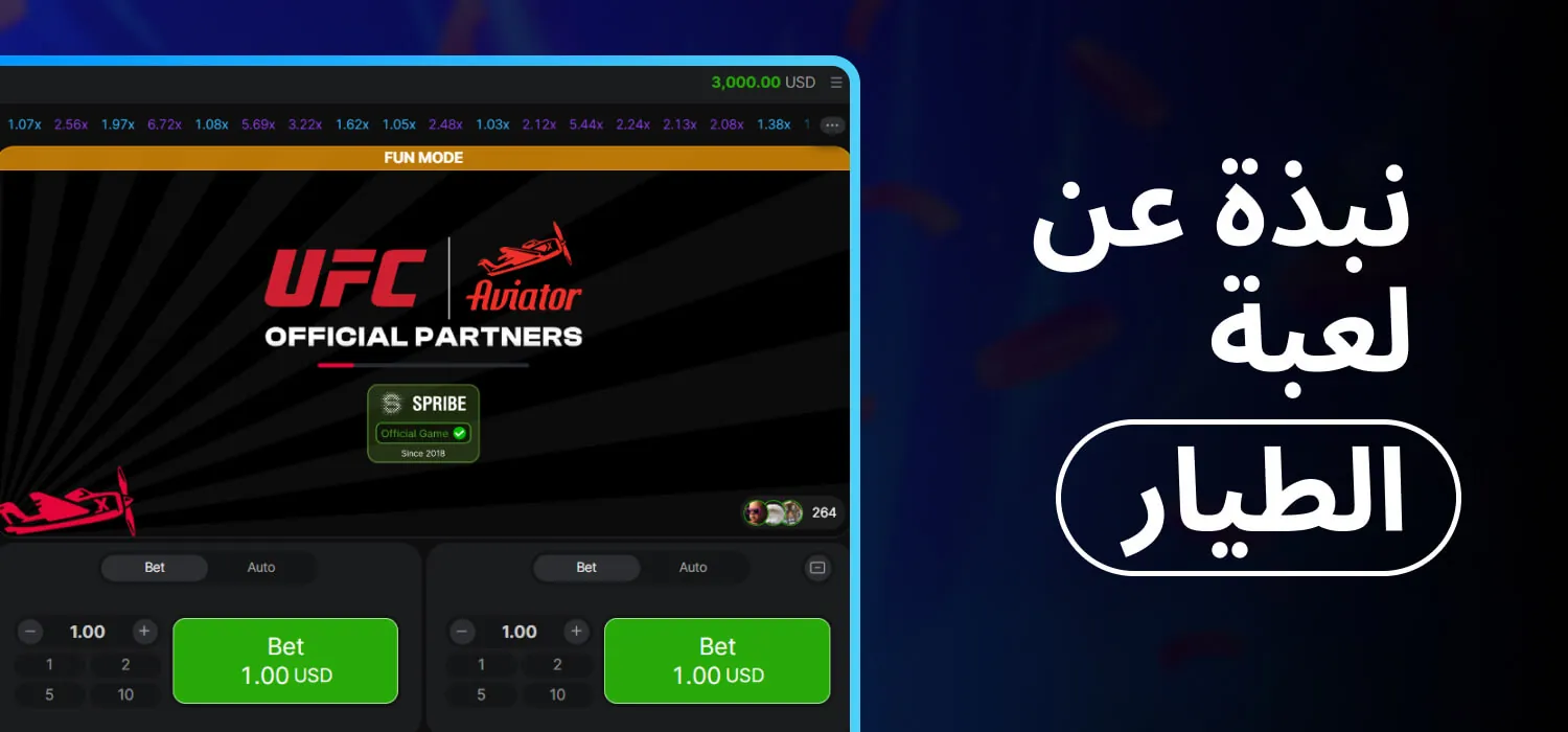 نبذة عن لعبة الطيار
